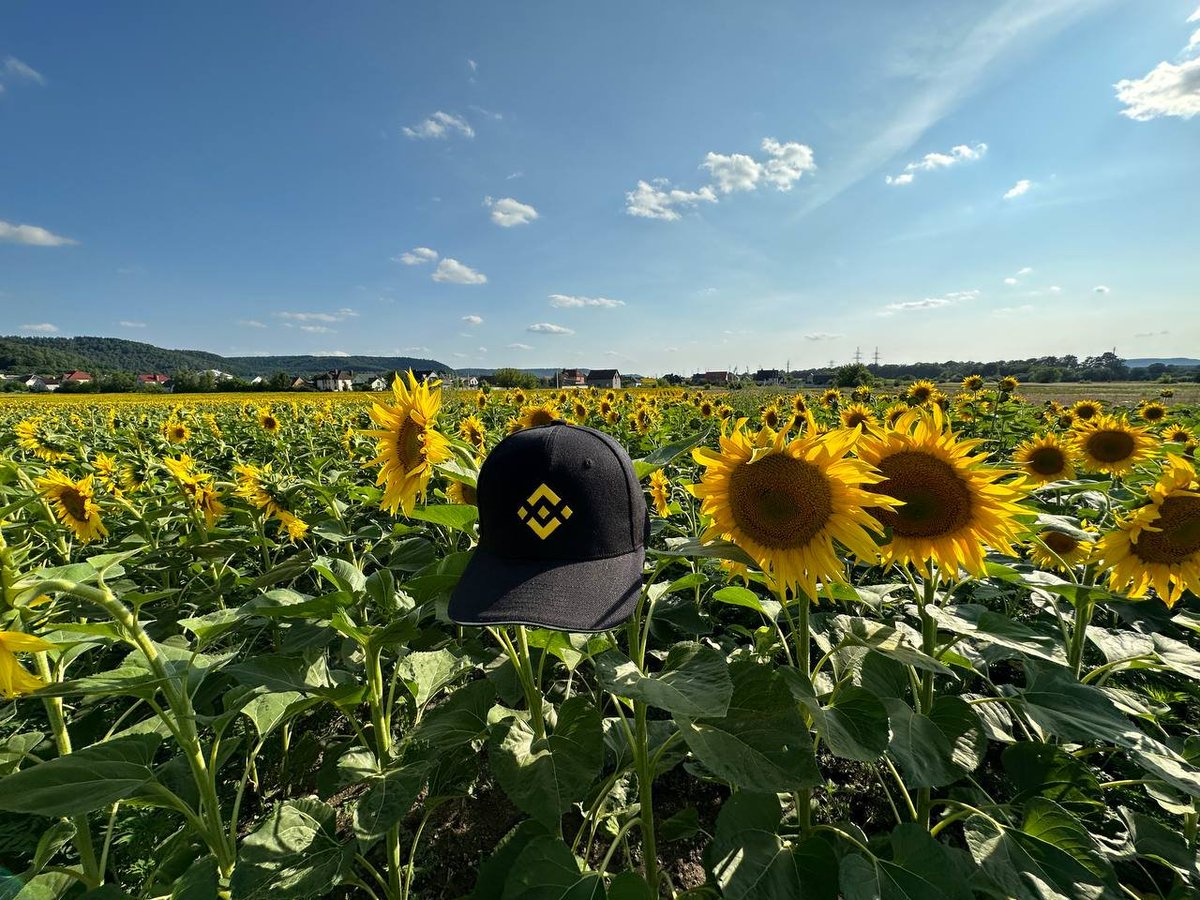 Sometimes the cap suits us, sometimes it matches the environment🌻🌻🌻 #Binance