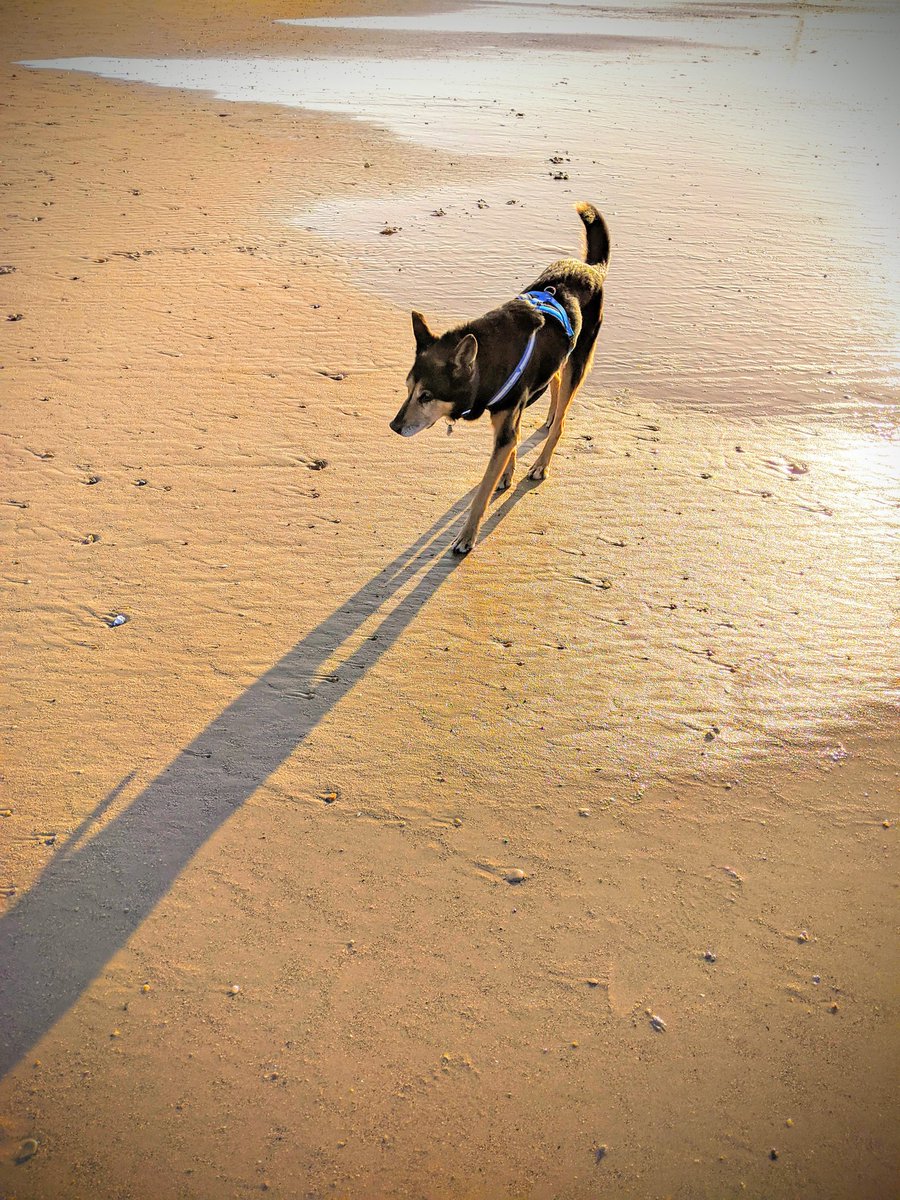 Cain 🌈 tweet media