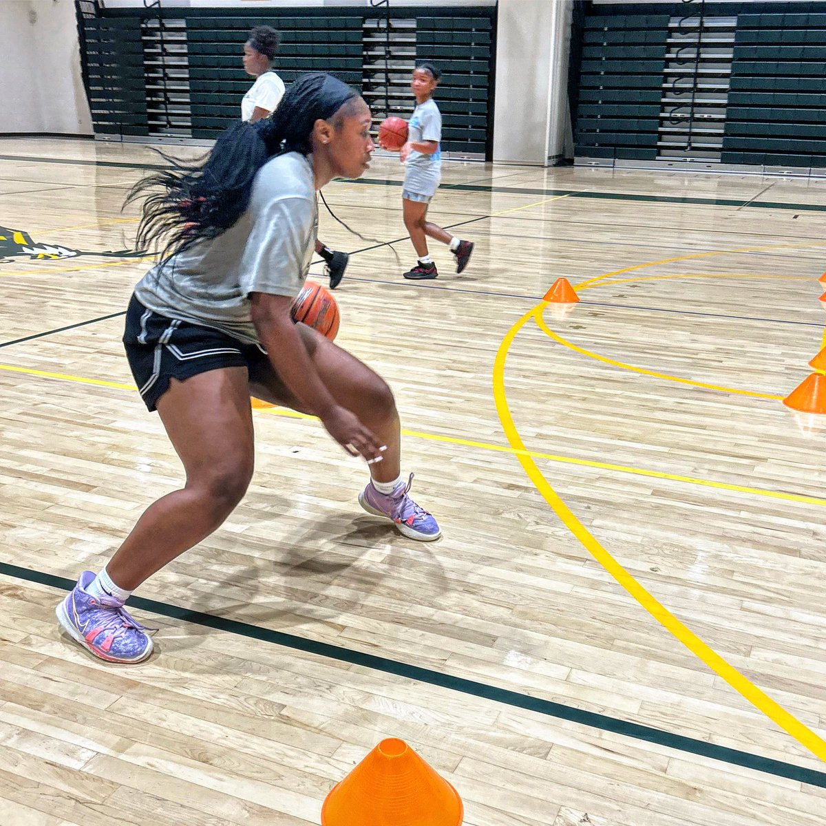 Seneca Valley Screaming Eagles Girls Basketball tweet media