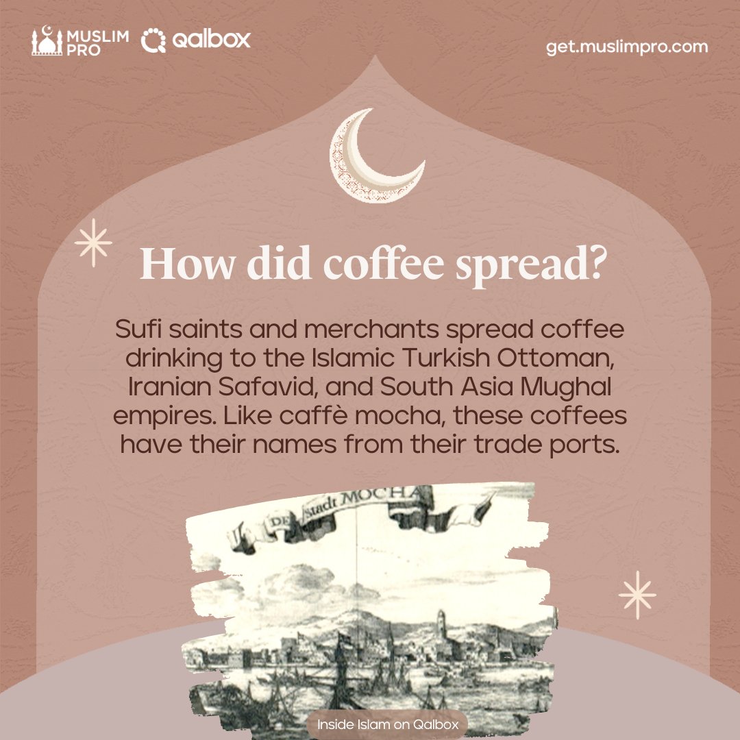 MuslimPro's tweet photo. Coffee came from Islam?
Learn more interesting facts about the Islamic world on Inside Islam in Qalbox. It is available in the Muslim Pro app. Sign up for premium to watch now.
#muslimpro #qalbox #muslimshows #islam #insideislam #coffee #muslimcoffee #coffeeinislam https://t.co/SNEcFPoaBI