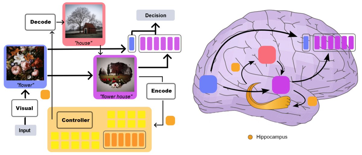 0/. Brain is not ViT. we scored 70.8 in the Algonauts 2023 visual brain competition, w/o ensemble we can do 66.8 score. other teams (including me in the past) are struggling with 60.

“memory” is the secret.

paper: arxiv.org/abs/2308.01175
code&amp;webpage: huzeyann.github.io/mem