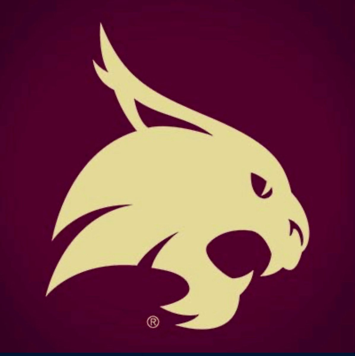 CameronWCarroll's tweet photo. After a great conversation with Coach Terrence Johnson I'm excited to say that I have received a D1 offer from Texas State. @TxStateBobcats @SGPBasketball @AssaultSouthern https://t.co/zd0VStvjmf