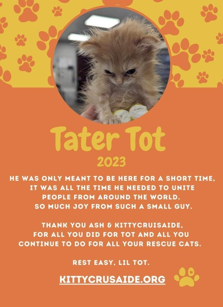You will be missed tater tot.....🫂💕