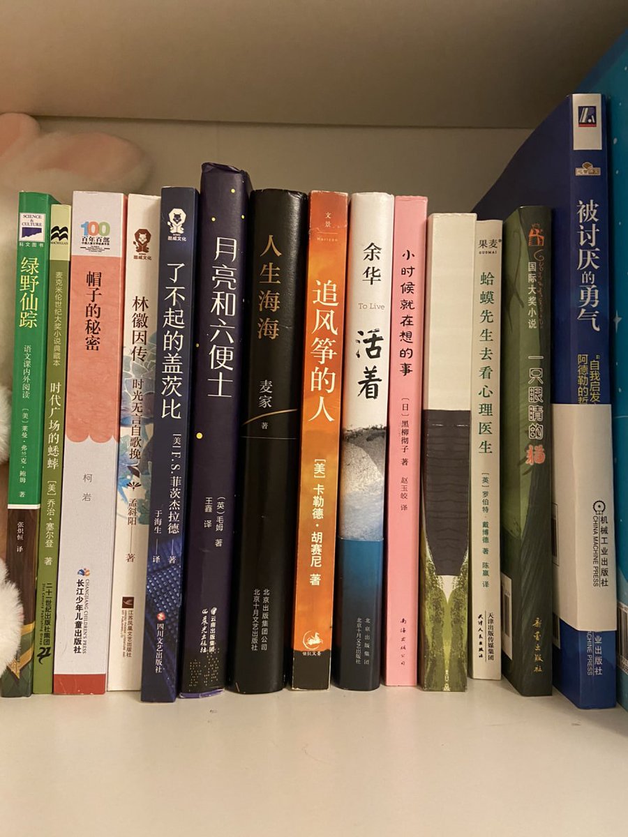 たくさんの大陸の本が届きました