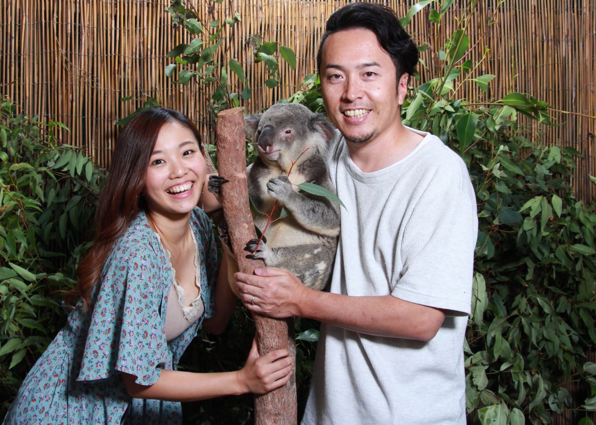 ケアンズ観光局【公式】🇦🇺 tweet media