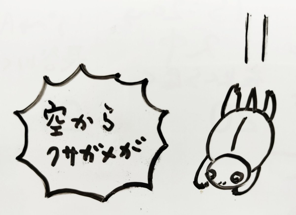 落描き(on whiteboard)👧🐢  #クサガメ #かめ太