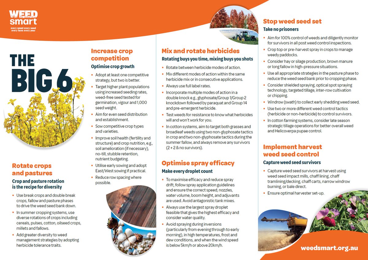 In collaboration with our research and industry partners, we recently revamped the Big 6 to include a stronger focus on "optimising spray efficacy" 💧

WeedSmart extension agronomists <a href="/janadixon_/">Jana Freebairn</a> and <a href="/grassrootsag/">Grassroots Agronomy</a> explain the changes on <a href="/theGRDC/">GRDC</a> podcast 🎧 buff.ly/43w1aa7