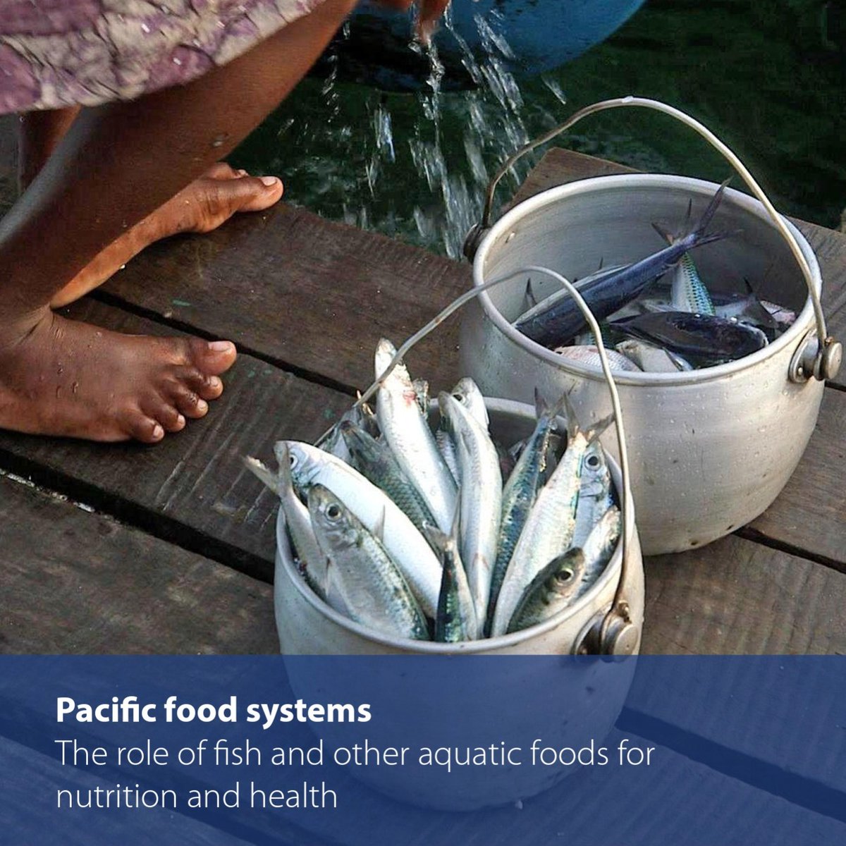 Pacific Food Systems - The role of #fish and other aquatic foods for #nutrition and health. 🐟🦀
#ACPIR members Dr Sarah Burkhart and Dr Libby Swanepoel, and colleagues, have co-authored a publication with the <a href="/FAO/">Food and Agriculture Organization</a> and <a href="/WorldFishCenter/">WorldFish</a> fao.org/documents/card… #PacificIslands