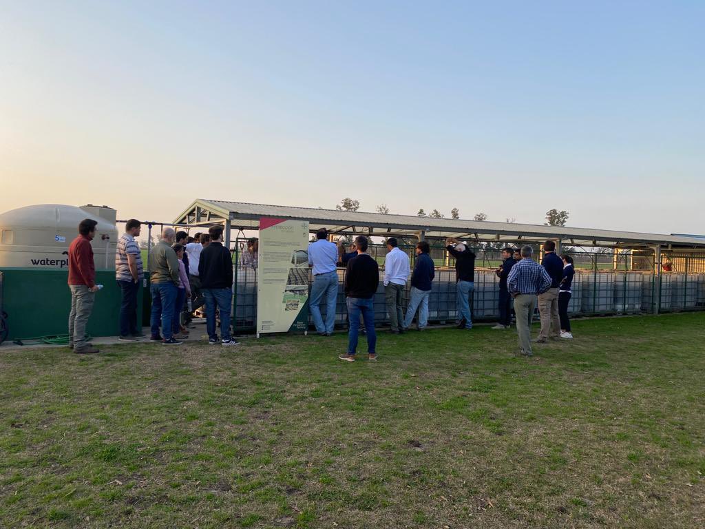 Marcelo Testa tweet media