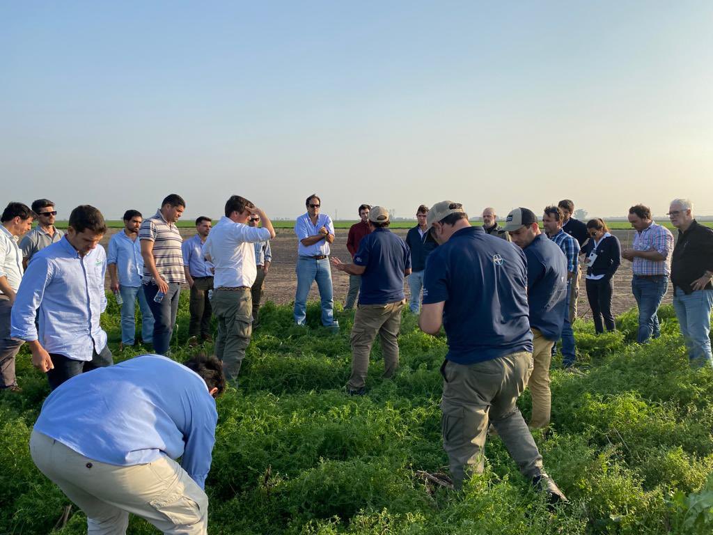 Marcelo Testa tweet media