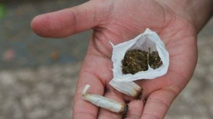 RTdoBrasil's tweet photo. Sabe aquele traficante que a policia prendia vendendo maconha na esquina!??

Agora ele não pode mais ser preso, o STF protegeu ele, basta ele ficar com 60g e vender 60g por vez, ai ele vai buscar mais e volta pra vender pros seus filhos!

É isso que eles estão fazendo! https://t.co/ddHXW7KuP5