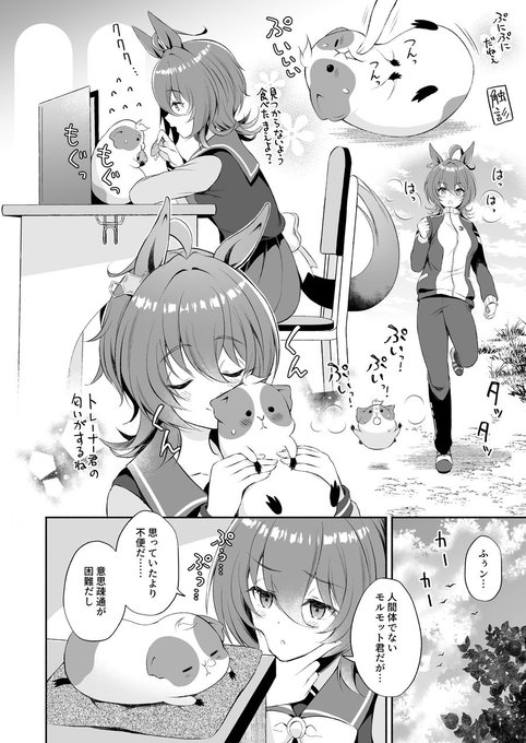 モルモット君を振り回すつもりが振り回されるタキオン再放送(2/3) 