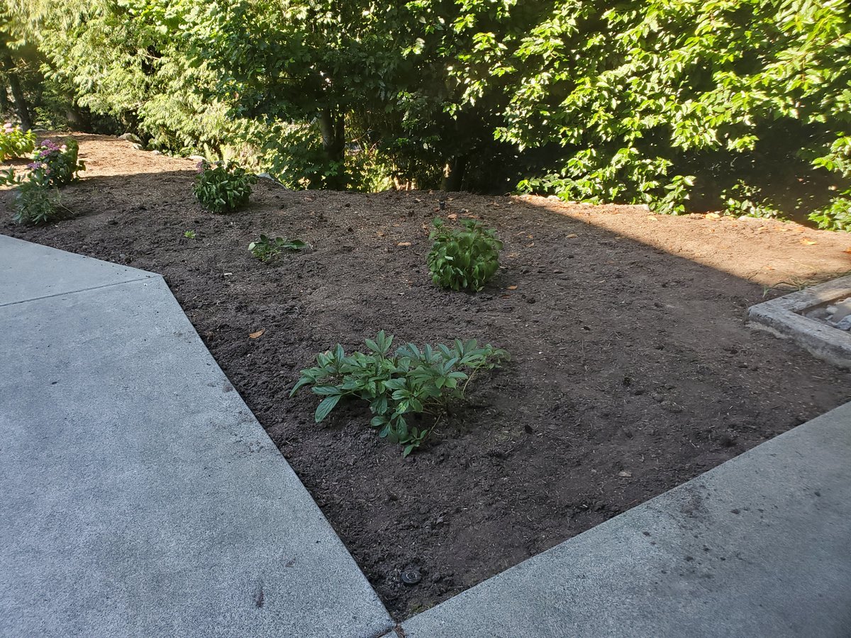CampMowService's tweet photo. Lots of weeding happening this summer. Call now to get your beds cleaned up!

#landscape #landscaping #weeding #garden #gardening https://t.co/tej4gtZ74e