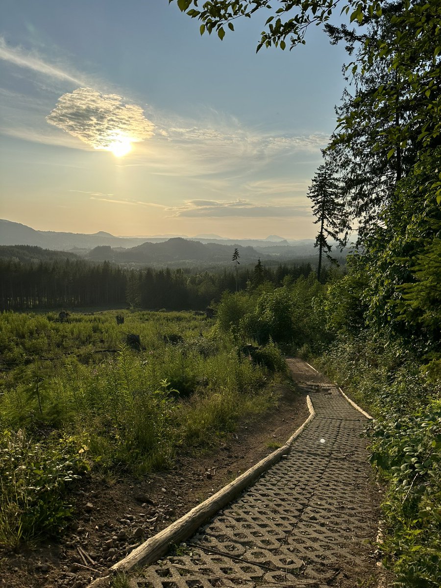 آیت ہجر پڑھی اور رہائی پائی
ہم نے دانستہ محبت میں جدائی پایئ 
جسم وہ اسم تھا جو ہم پہ کسی شب نا کھلا 
عشق وہ زر تھا کہ لگتا تھا خدائی پائی 
یار تو عمر تیرا ہجرسنبھالے رکھا 
تو نے کیا چیز بھلا مجھ میں پرایئ پایئ 
عشق وہ قرضکہ روح کے حصے میں آیا 
عمر بھرکٹتی رہئ سانس کی پایئ پایئ