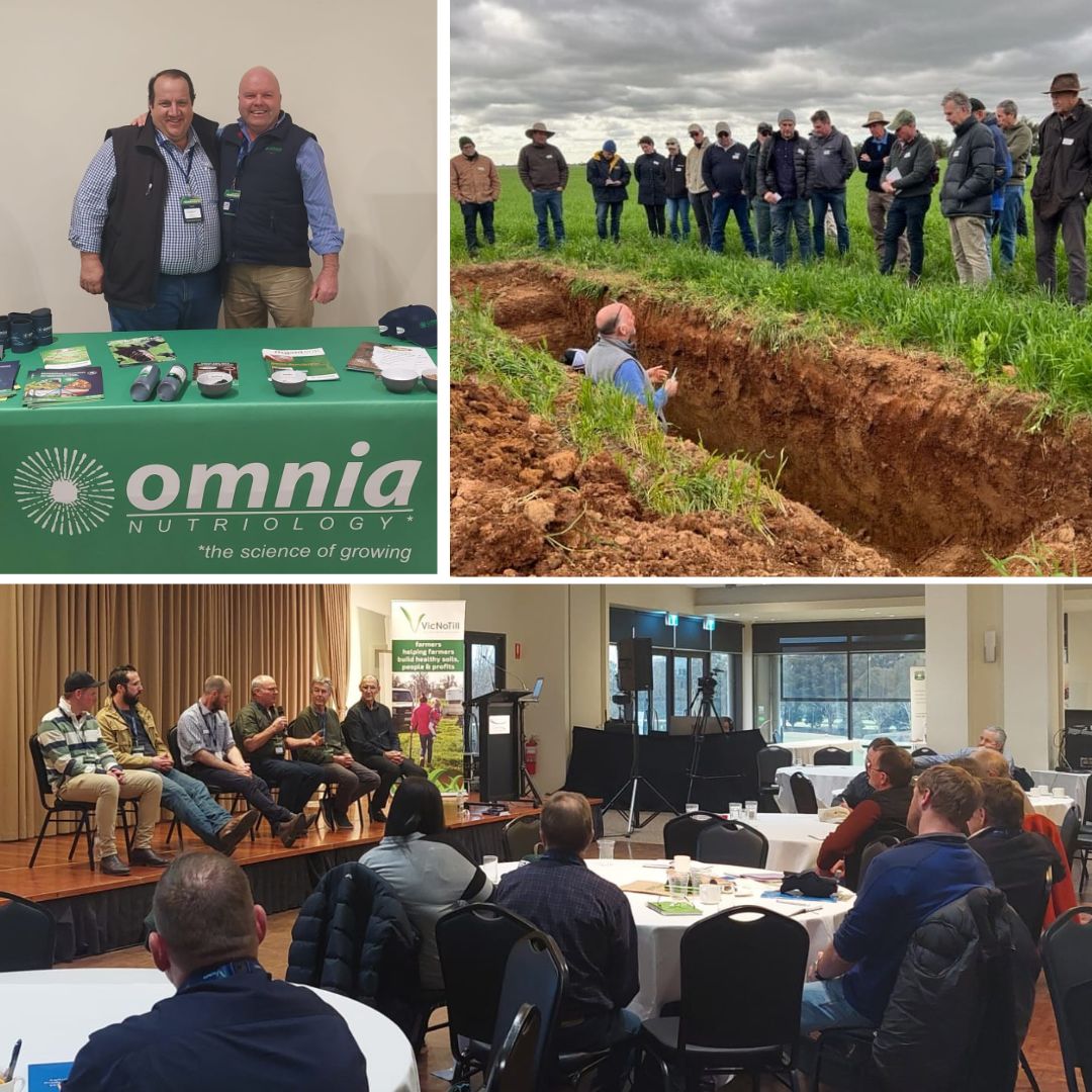 OmniaAustralia's tweet photo. 🌱The @VicNotill TRAN$ITION23 Paths to Change conference was impactful & informative. Exploring #soilhealth #humates companion #cropping & hearing experts & #growers discuss regenerative agriculture.
#OmniaAustralia #soilhealth #Omnia #thescienceofgrowing #regenerativeagriculture https://t.co/HjoceiJuIO