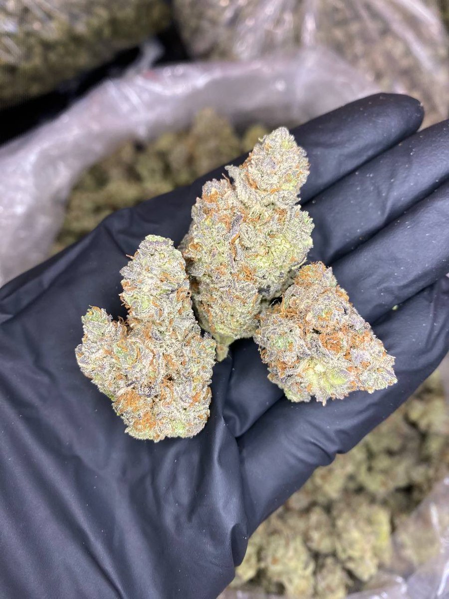 818Brands's tweet photo. 818 Banana Daddy 
Fresh fresh fresh https://t.co/lNfG5X6the