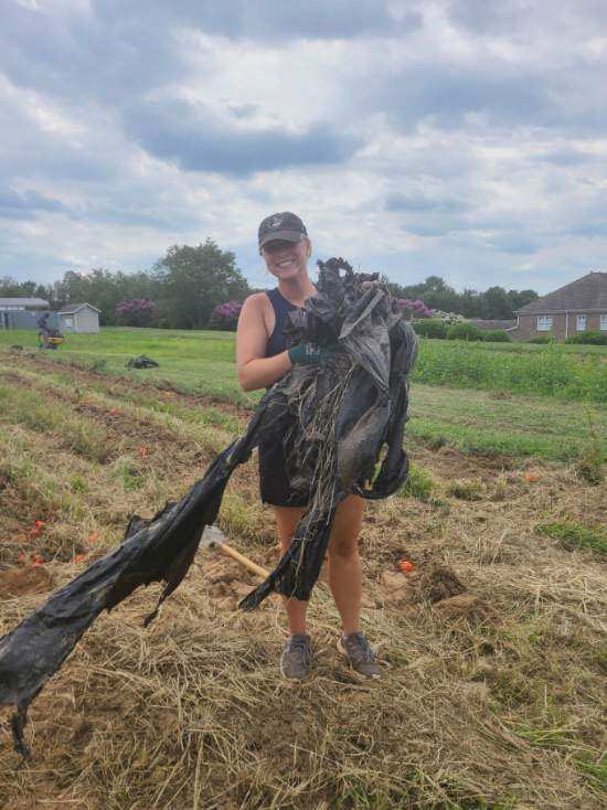 PetrauskasArt's tweet photo. First teacher workday of the 23-24 school year and we REACHED OUTTTT! Super fun afternoon going out into our community and giving back. @KOrzechowski6 @haroldwinklerms @CabCoSchools #ibworldschools #serviceproject #communitygarden https://t.co/pxMIO42xLh