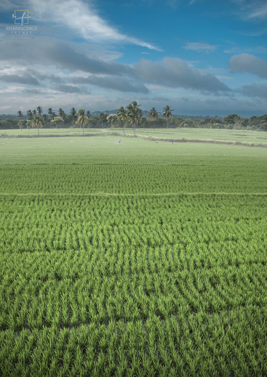 GM Friends 

The Sunny Day - positivity 

The sun is our very own star, and without its energy there would be no possibility of life on earth. Stars are the powerhouses of the universe, and we have one right here in our galaxy. The sun plays such a vital role in each day of ours