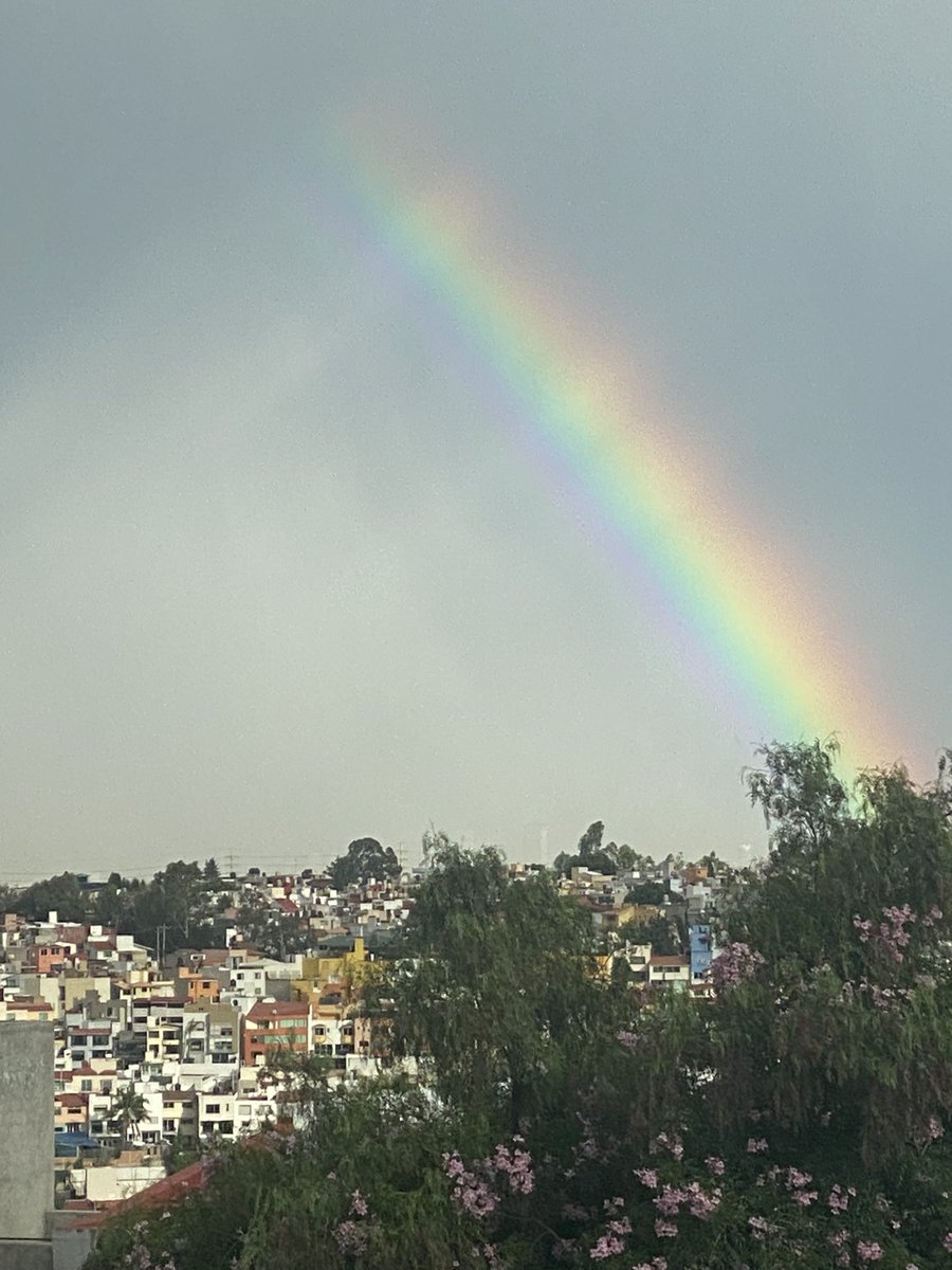 _betyvega_'s tweet photo. @aesquinca @lizdevallier “Cuando llueva, busca los arcoíris, cuando esté oscuro, busca las estrellas- Oscar Wilde “
Encontré el Arcoíris en Atizapán, Estado de México. Muy bonitas las fotos de todos los que enviaron. https://t.co/7WeBGXKfyk