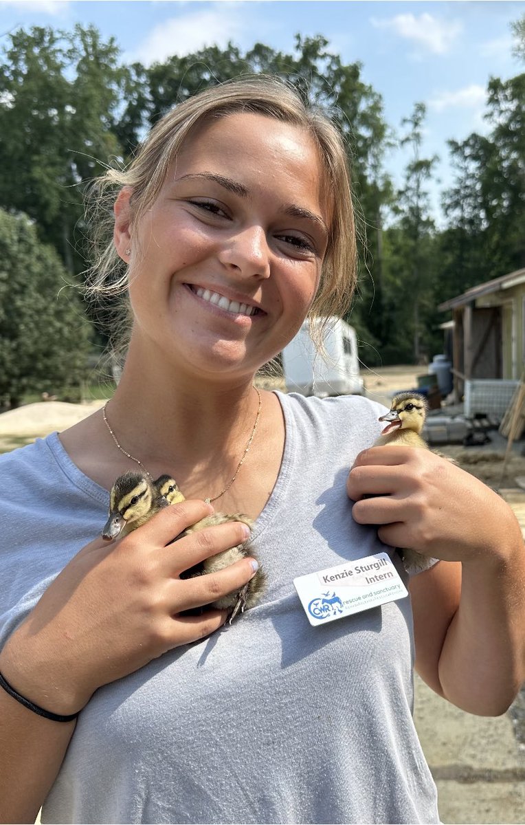 Want to give a big thank you to the Carolina Waterfowl Rescue <a href="/waterfowlrescue/">Carolina Waterfowl</a> for a fantastic summer internship!♥️ I had a lot of fun and learned a lot!🦆🦃🦜🕊🐣