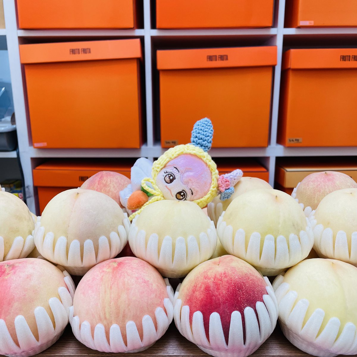 🐰재민이🐱의 생일을 맞아 ꕀ !
본 트윗을 #RT 해주신 분들 중 한 분을 추첨해
아래 사진의 체리잼이 쓰고 있는

🌷우사하나 귀도리🌷를 보내드립니다 .ᐟ.ᐟ

예쁘고 사랑스러운 재민이의 생일🎂을
함께 축하해주세용> ̫ <🎉
재민아 우리 곁으로 와 주어서 고마워🥨💖

#HAPPYJAEMINDAY #재민 🎂🥳🎁