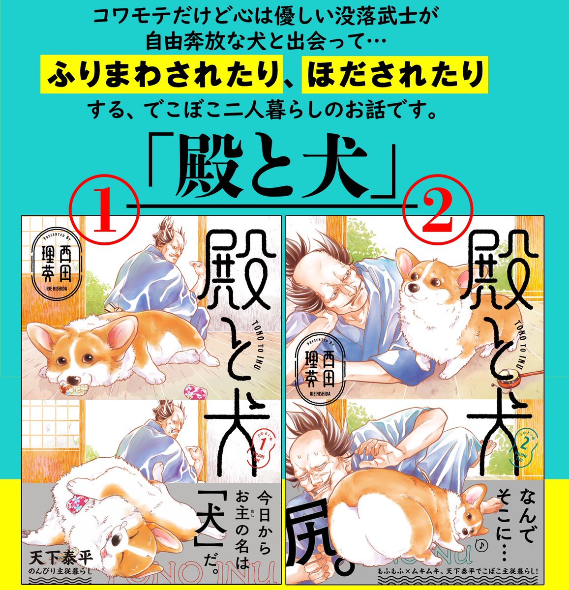 『#殿と犬(とのといぬ)』本屋さんで注文しやすい画像(2.3枚目)もあります。見せるだけで大丈夫、べんり!  🐯Amazonさんはこちら🐶  ①巻 https://www.amazon.co.jp/gp/product/4866752408?ie=UTF8&tag=comicbloodjp-22  ②巻 