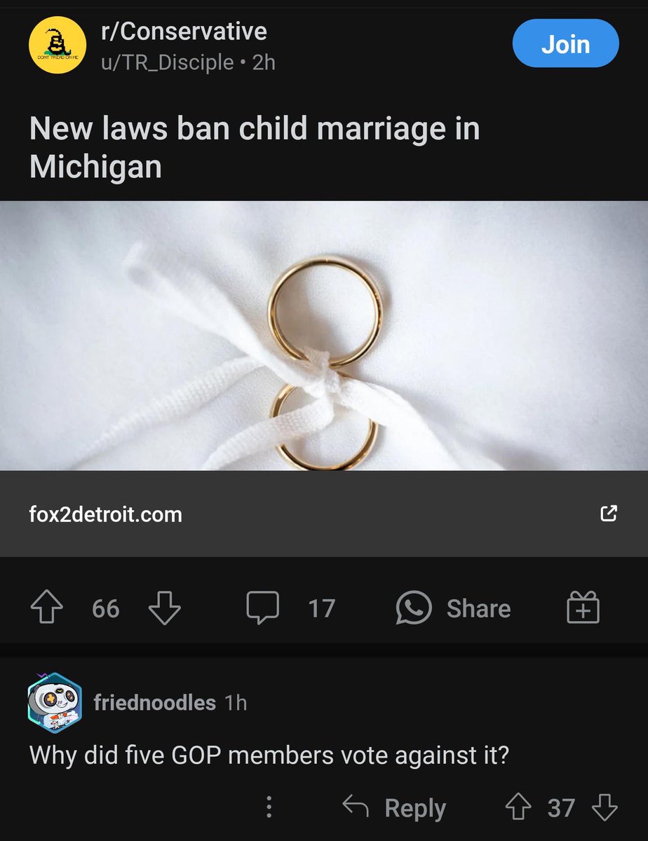 The “anti groomer” party strikes again