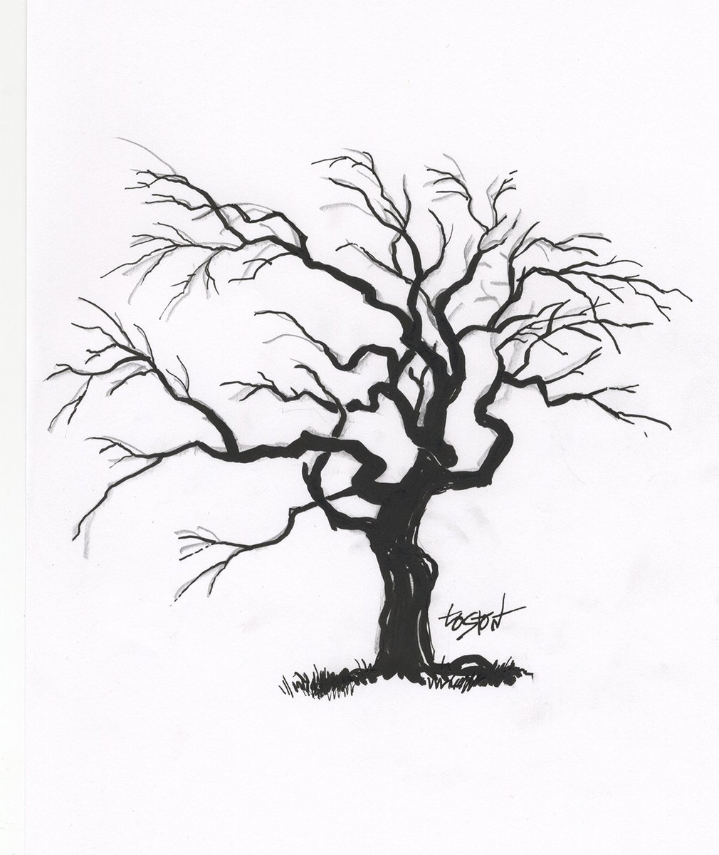 Loston_Wallace's tweet photo. #Drawingtrees #GnarlyTrees #sketching #drawing
"Gnarly, dude! That tree's got back!" https://t.co/AUMj3zTfvd