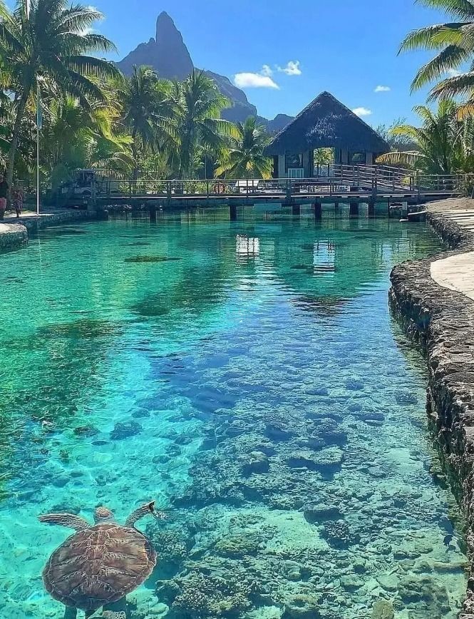 Eileen8Fadi's tweet photo. It's a beautiful place I like it so much https://t.co/SiMJfvSx3q