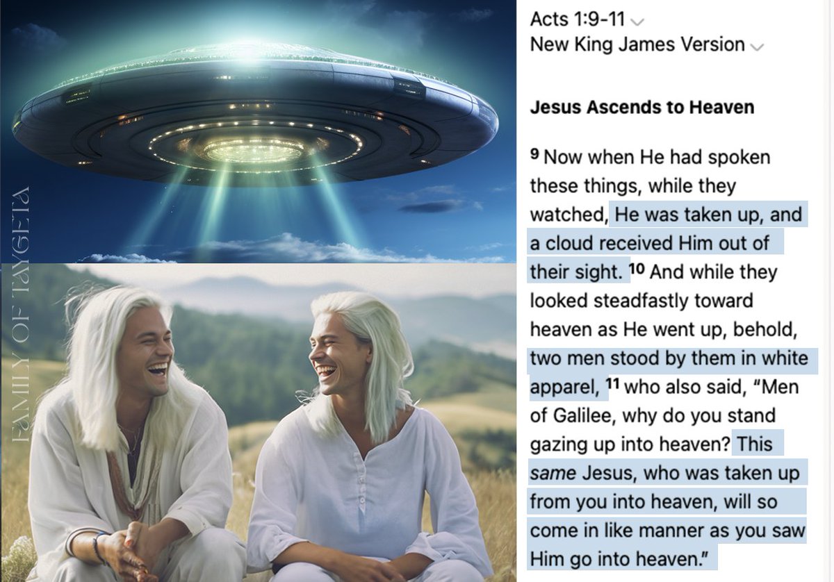 Two men in white (Pleiadians) took Jesus into a cloud (craft) and told onlookers he would return the same way he left. Immediately upon boarding the craft Jesus was transformed back to his true self, the Pleiadian Sananda, Elder of Merope.