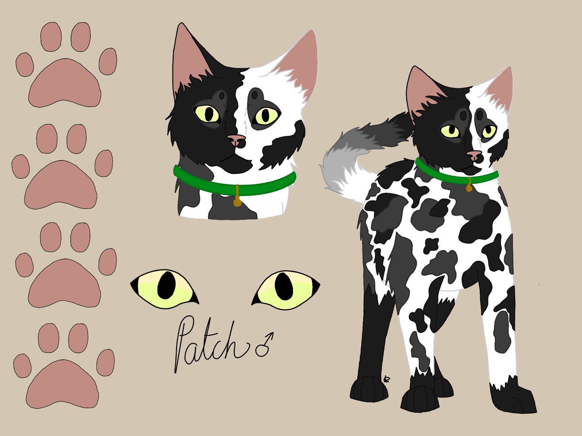 lux_wolfie2001's tweet photo. @wcrproblox This is my kittypet morph in my art style. His name is Patch and he ends up joining Thunderclan after falling in love with a warrior in his story https://t.co/PwxiQzHjhh
