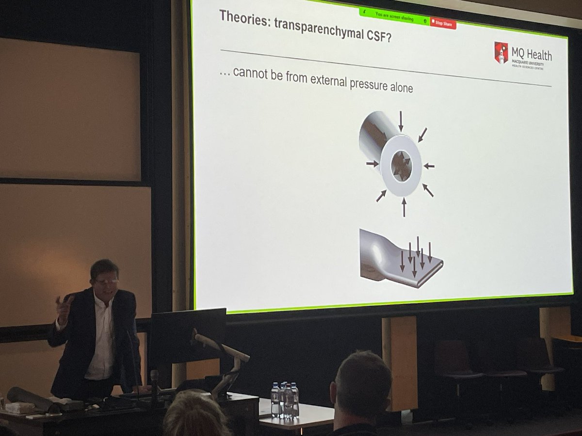 DrJenRowland's tweet photo. The brilliant @MarcusStoodley talking about his team’s research into #syringomyelia @MQMedicalSchool https://t.co/AsX6EQj7By