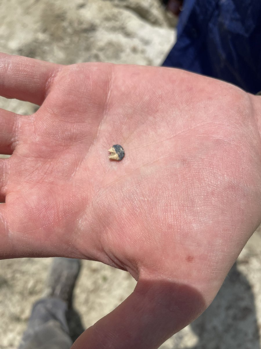 Luke Weaver tweet media