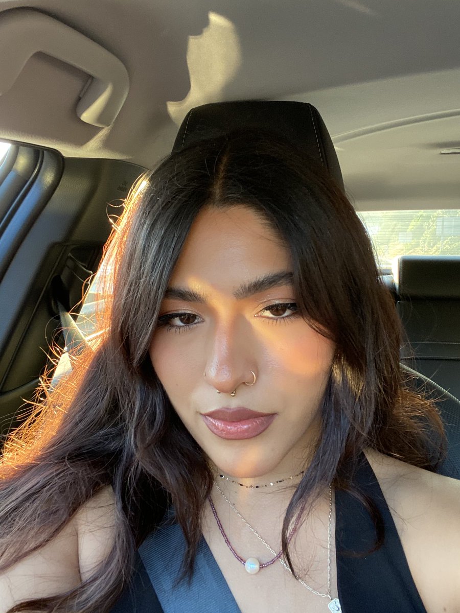 ⋆.ೃ𐦍*:･⋆𐦍.ೃ࿔*:･