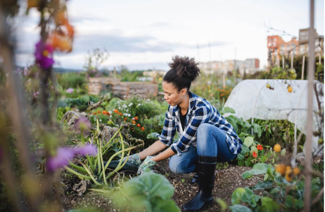 researchwithdrj's tweet photo. Gardening is a fantastic way to spend time in the sun and get some physical activity to help control your blood pressure. Start by growing a few flowers in your hard to get into the hobby! #researchwithdrj https://t.co/hbTLiR61BE