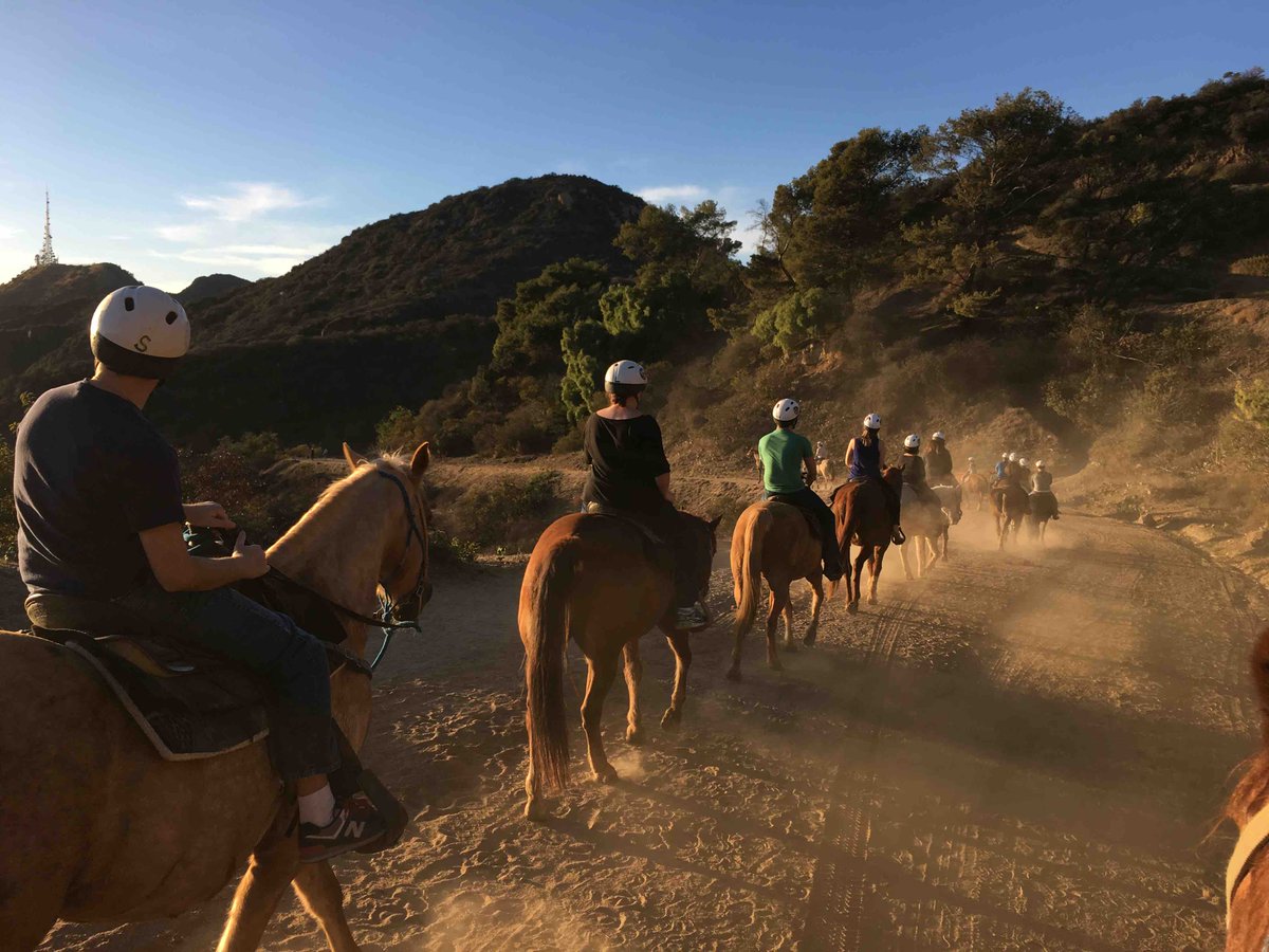 SunsetRanchLA's tweet image. Just living the dream #sunsetranchhollywood #sunset