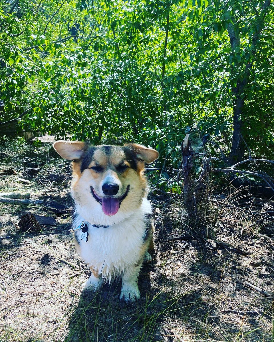 Shelbie Rae tweet media