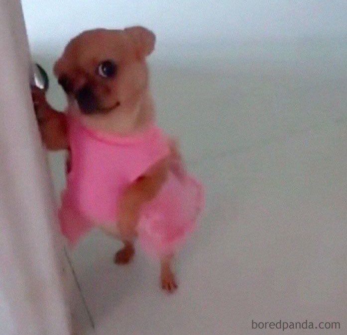 Me waiting for my boyfriend to kiss me after just kissing me
