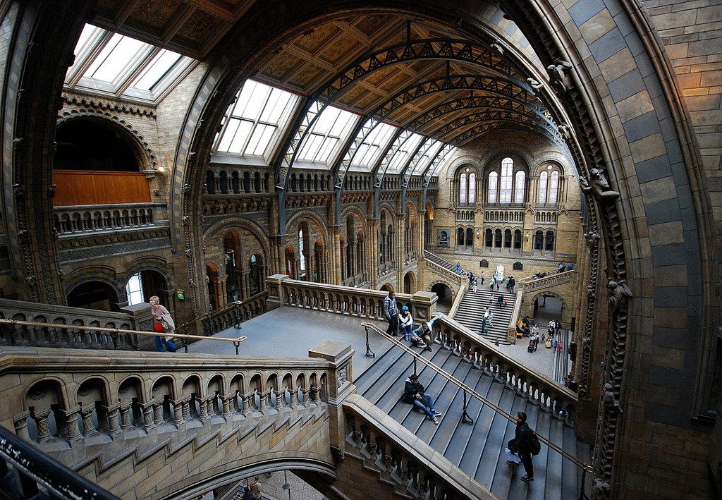 Natural History Museum, London, England #NaturalHistoryMuseum #London #England winniereeve.com