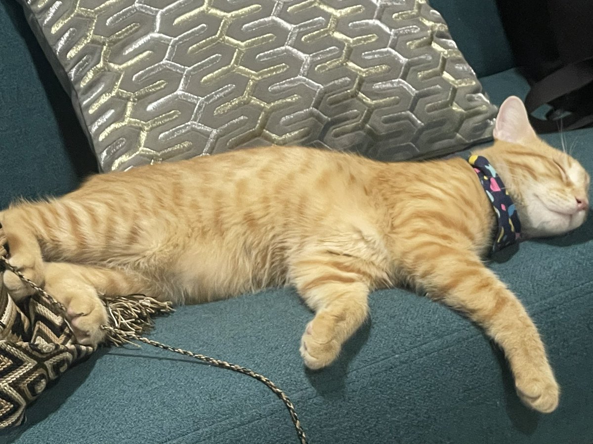 Me matas de amor 🧡