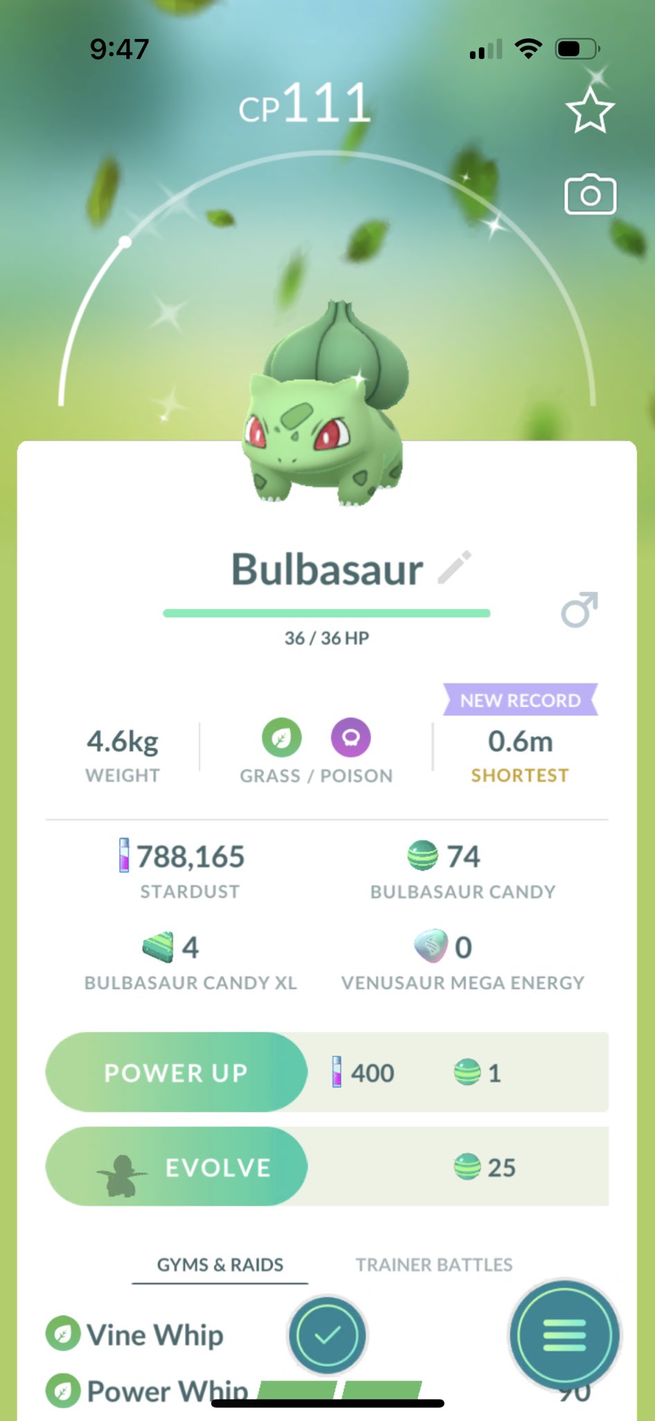 Shiny Bulbasaur (pikachu) 