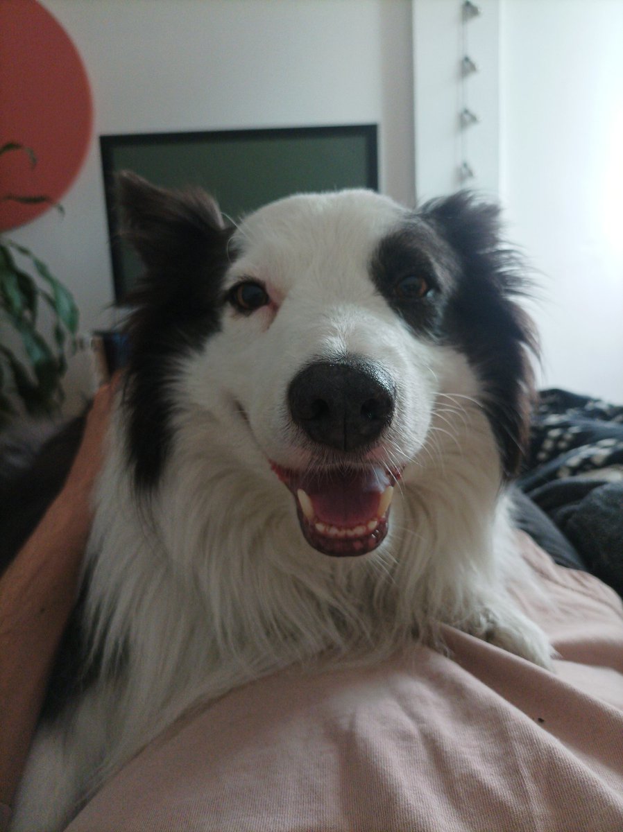 Hector “Reez” Ruiz (@reezruiz) on Twitter photo 