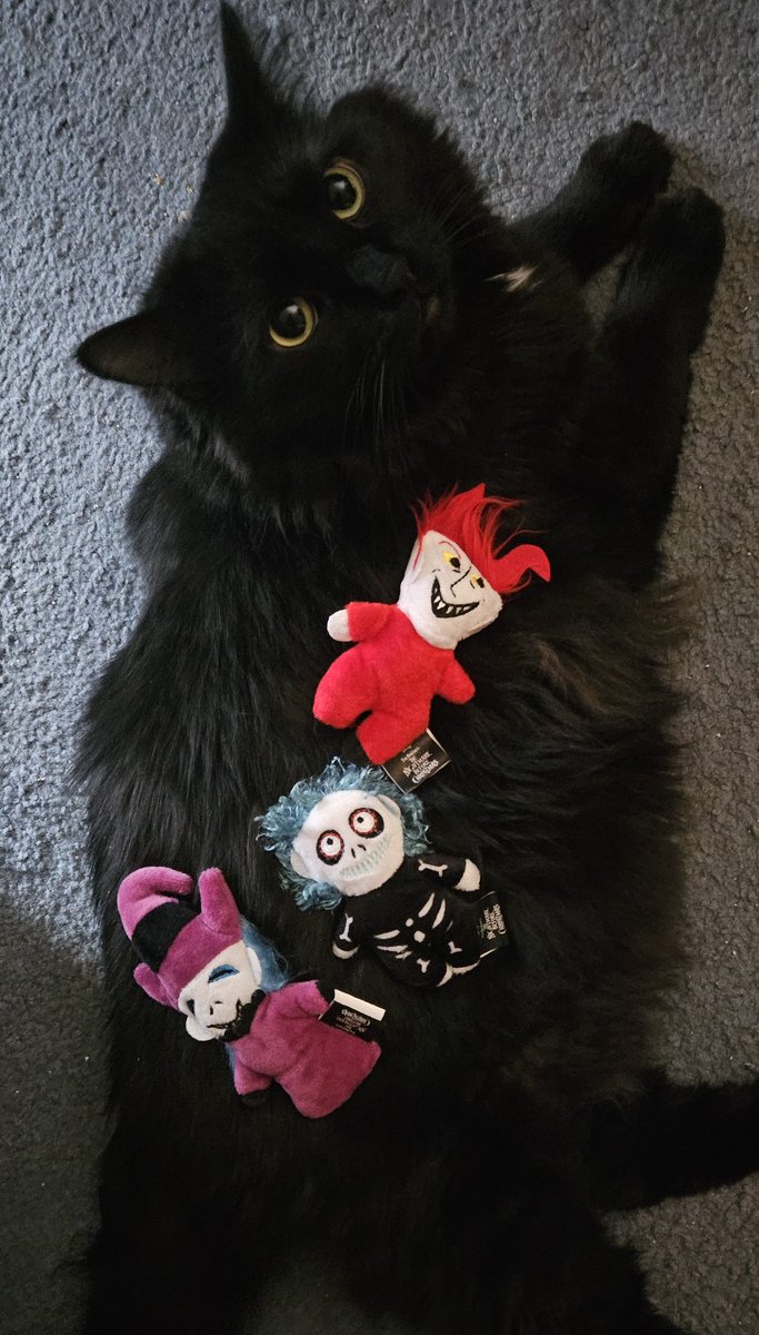 KenMese_'s tweet photo. Kidnap the Sandy Claws ๐ฉถ
โ--------------------------------------
#thenightmarebeforechristmas #lockshockbarrel #cat https://t.co/jOeYA1n9DU