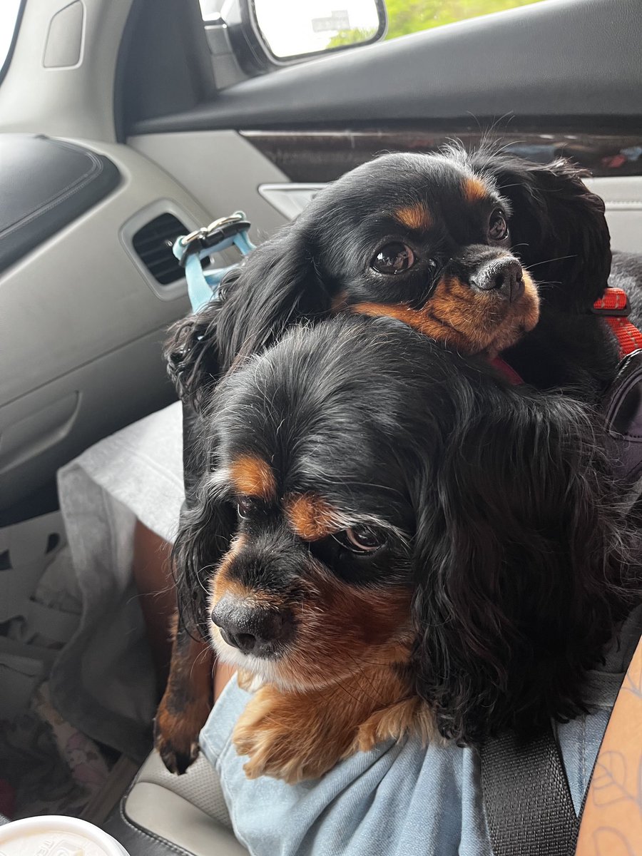 Missing my “peeps”