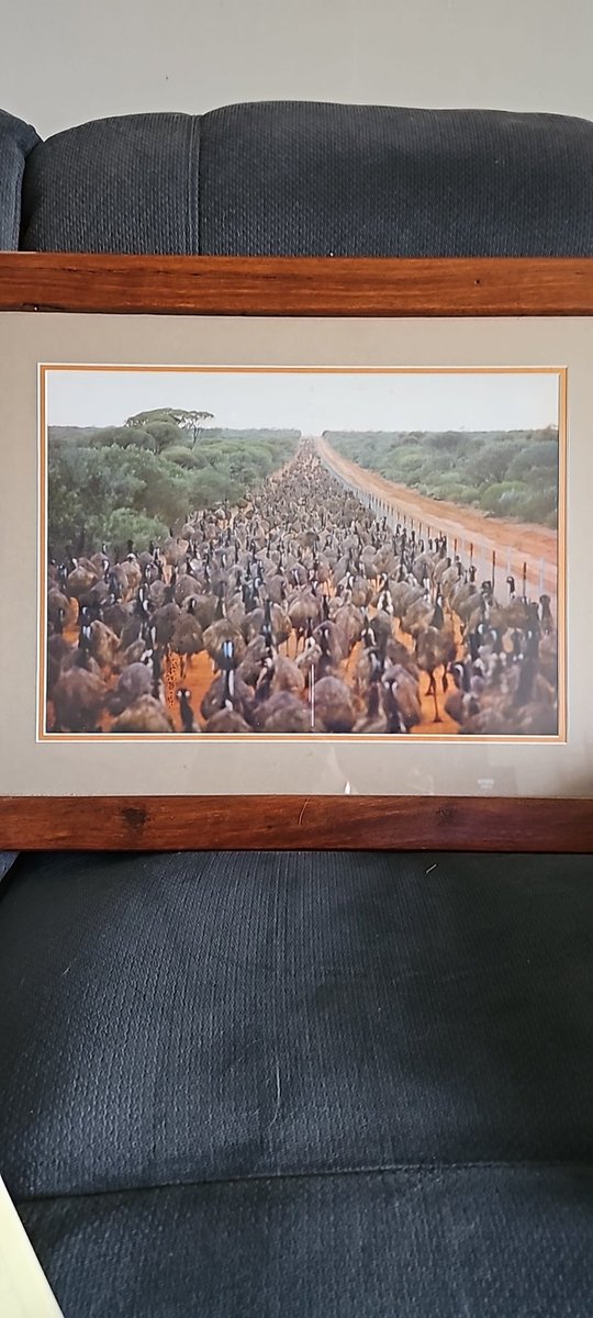 critchley3's tweet photo. @BarryGr66 @TheMahonster @archehistory I took this photo on  the emu proof fence in 2000 north of Geraldton WA https://t.co/eCAdNaEBPp