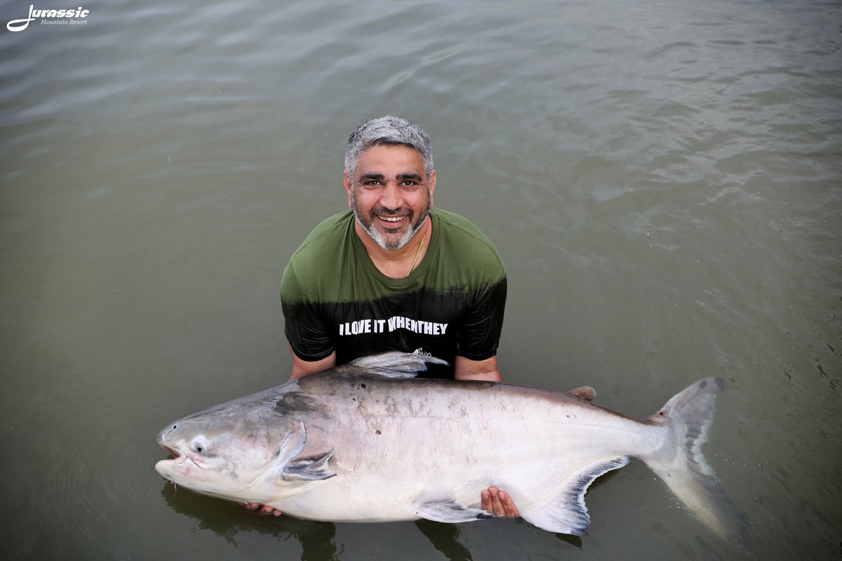 FishJurassic's tweet photo. This Chao Phraya catfish wasn't the arapaima that David was hoping for.
https://t.co/lhDzXTxgPA
enquiries@jurassicfishingthailand.com
#JurassicMountainFishingPark #Fish #Catfish #ChaoPhrayaCatfish #PangasiusSanitwongsei #Fishing #Angling #CarpAngling #PredatorAngling https://t.co/KtZ3nYGXr3
