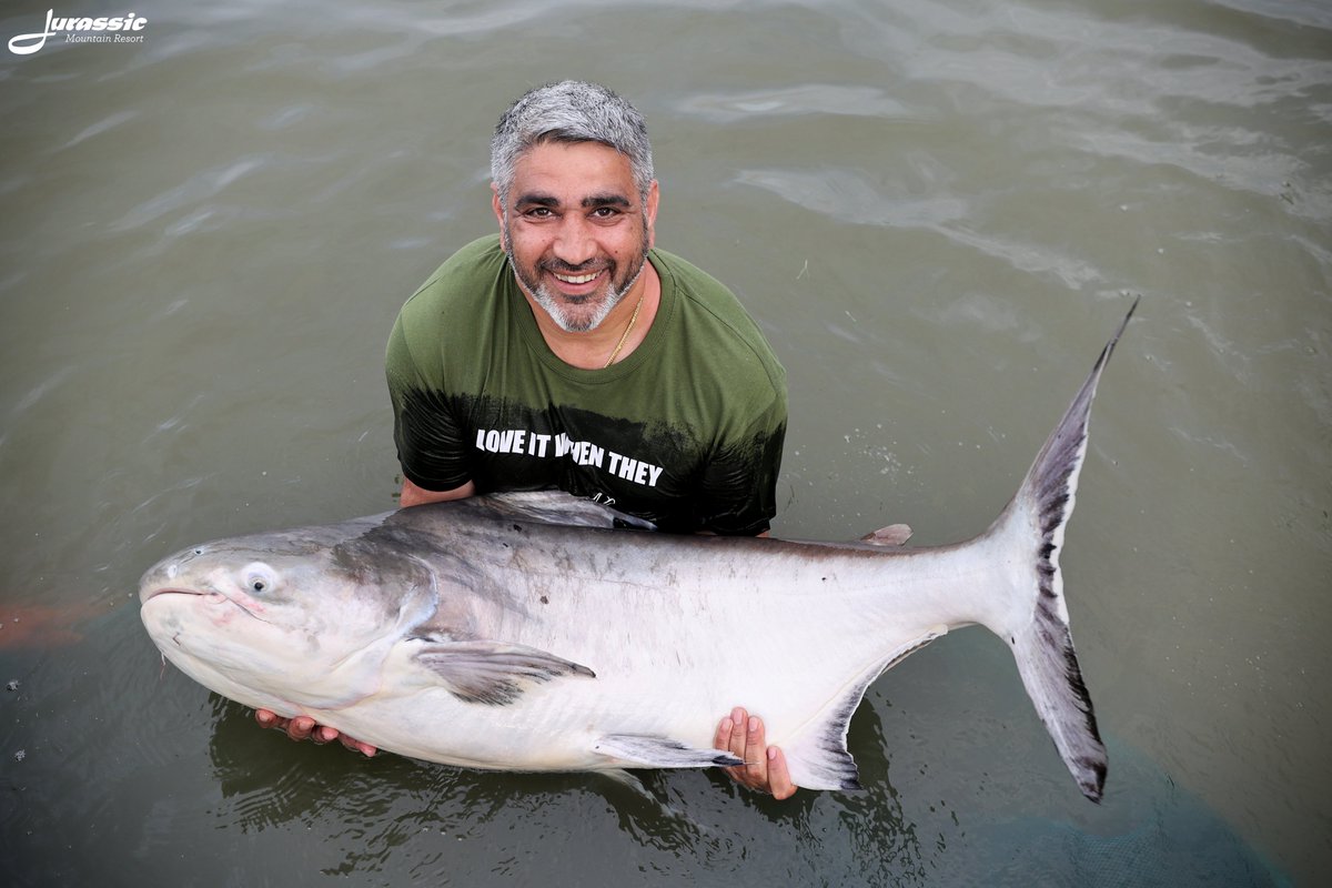 FishJurassic's tweet photo. This Chao Phraya catfish wasn't the arapaima that David was hoping for.
https://t.co/lhDzXTxgPA
enquiries@jurassicfishingthailand.com
#JurassicMountainFishingPark #Fish #Catfish #ChaoPhrayaCatfish #PangasiusSanitwongsei #Fishing #Angling #CarpAngling #PredatorAngling https://t.co/KtZ3nYGXr3
