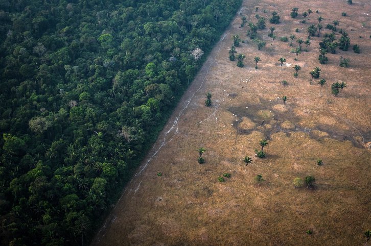 Basileagay's tweet photo. Une nouvelle qui fait un bien fou !!! 💚 Jour du dépassement hier, et aujourd'hui ? La déforestation dans l'Amazonie brésilienne a chuté de plus de 60% en juillet par rapport à l'an dernier ! 🌳 L'administration actuelle montre que l'engagement et l'action payent ! 💪 https://t.co/3dwS9qQDBy