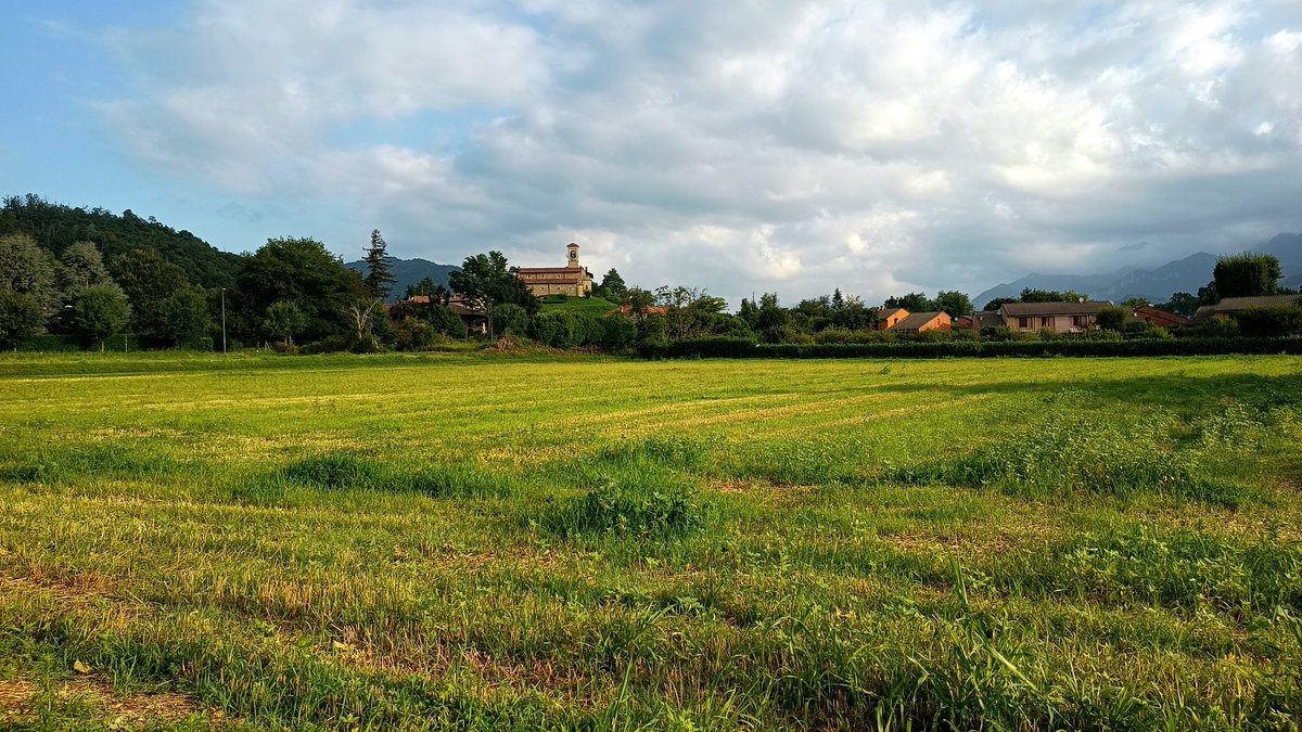 luigifoschini's tweet photo. Oggi ho provato a fare un po' di corsa veloce, ma sono riuscito a evitare #lasolitamerda solo per poco più di 2.5 km. Ma va bene così: sono in ripresa, la voglia è tornata e piano piano, spero, tornerà anche la forma fisica. #runningtime #iocorrroqui #StormHour #RunItaly https://t.co/jkivmtgD2O