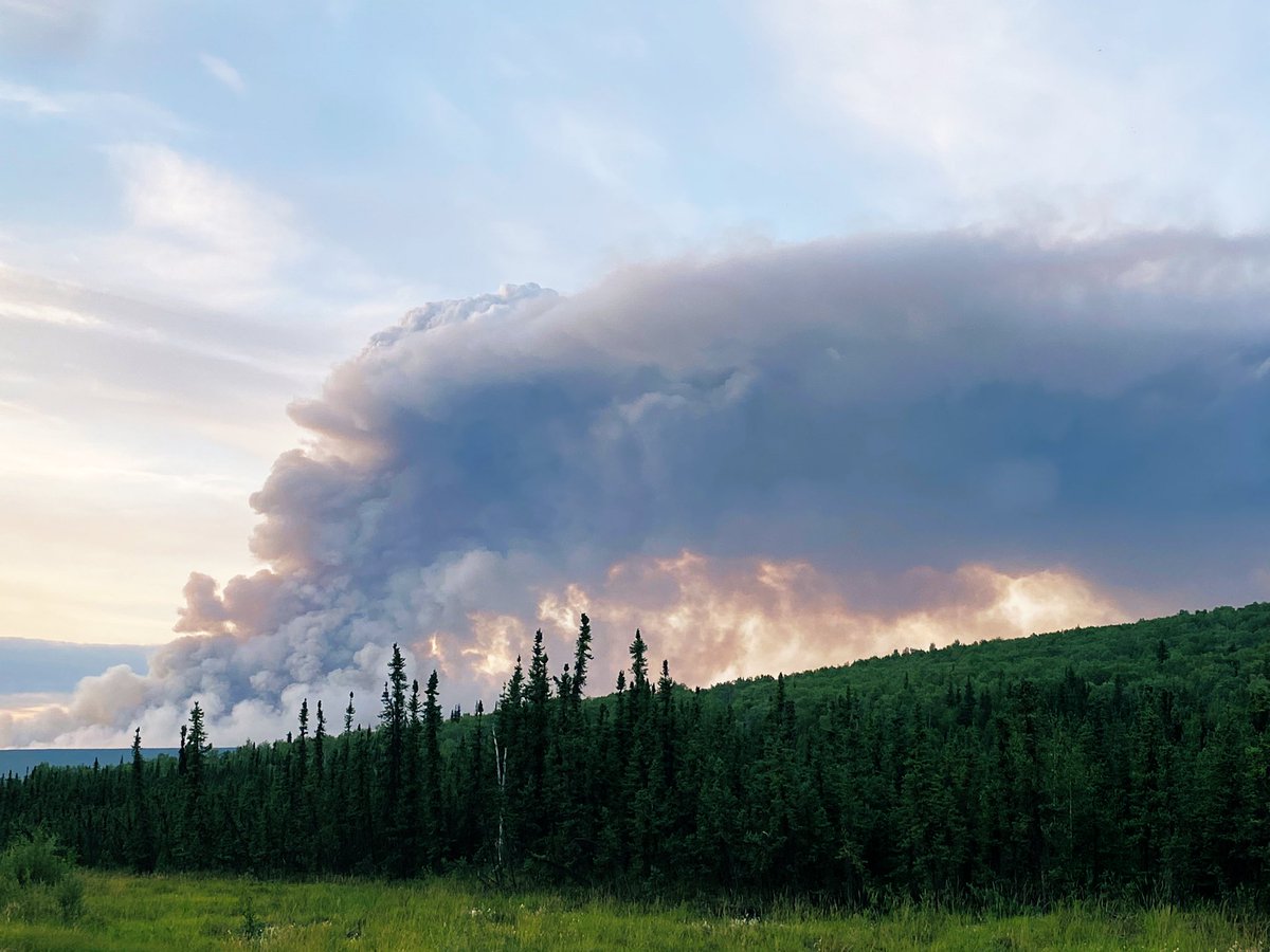 Dev Subhabrata tweet media